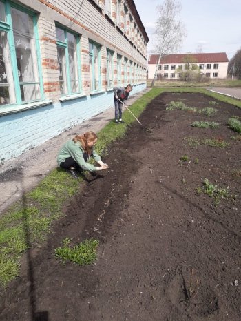 Занятость детей